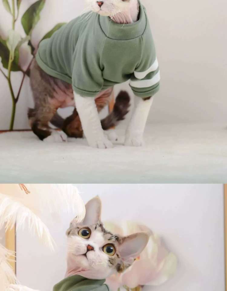 猫 術後服 | 猫用術後服 コンフォートグリーン