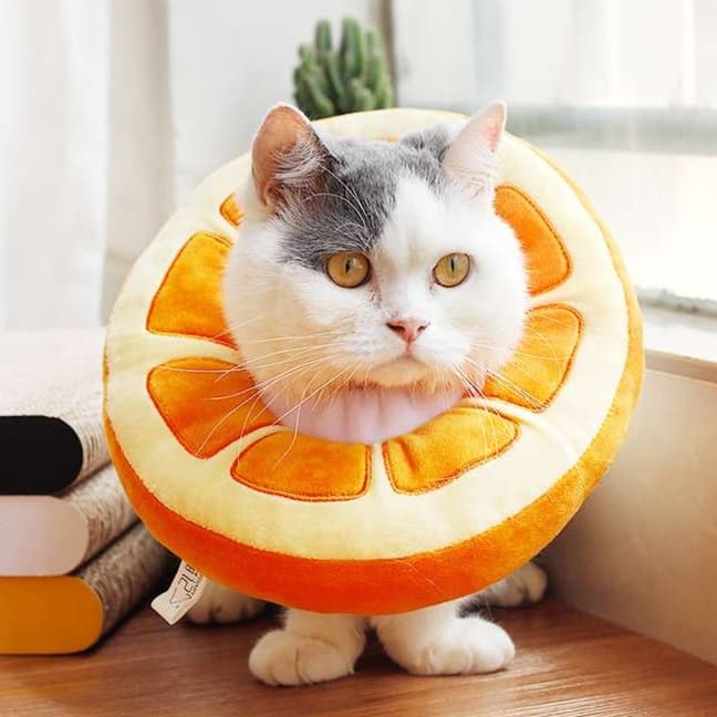 猫 エリザベスカラー | フルーツ猫カラー 癒しのトロピカルコレクション