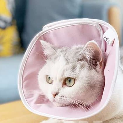 猫 エリザベスカラー | 猫用エリザベスカラー 3色セット