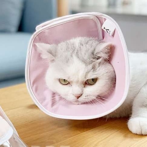 猫 エリザベスカラー | 猫用エリザベスカラー 3色セット