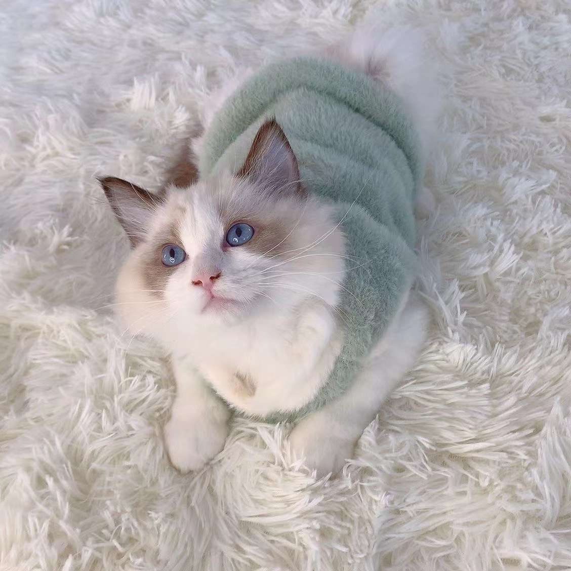 猫 防寒服 | ふわもこ天使の羽ペット服