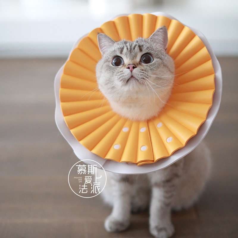猫 エリザベスカラー | ふわふわフリルの猫用エリザベスカラー