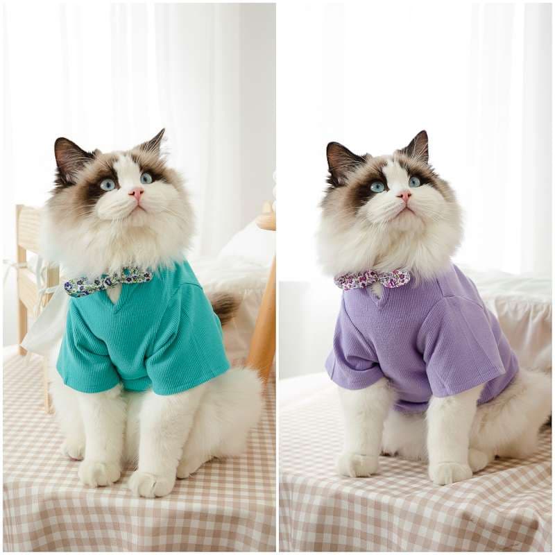 猫 洋服 | ふわもこ猫ちゃんの季節のお洒落トップス