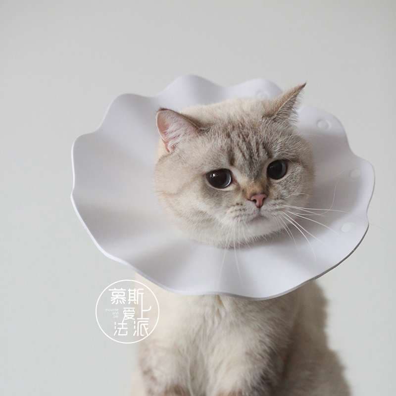 猫 エリザベスカラー | ふわふわフリルの猫用エリザベスカラー