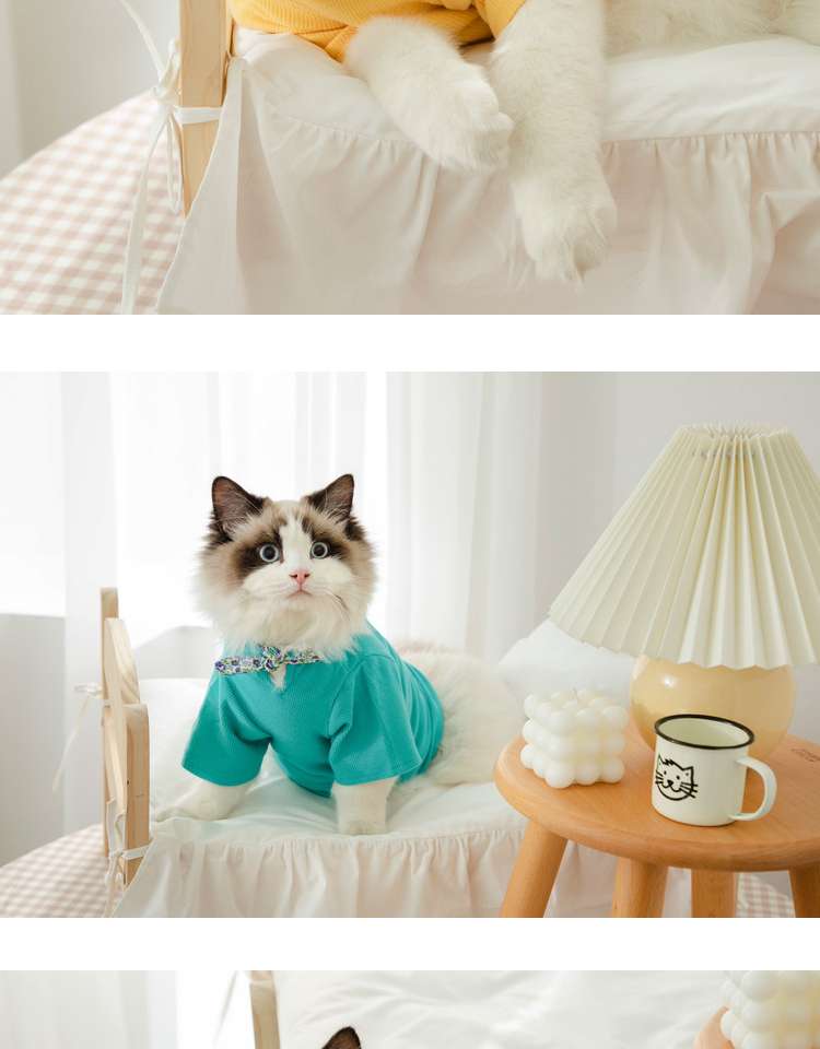 猫 洋服 | ふわもこ猫ちゃんの季節のお洒落トップス
