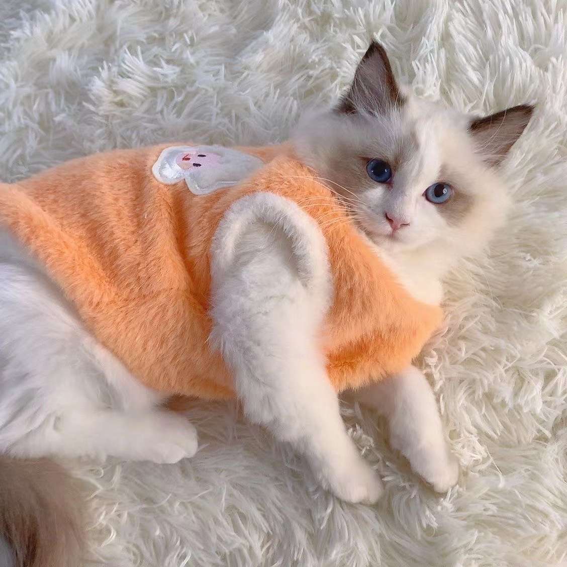 猫 防寒服 | ふわもこ天使の羽ペット服