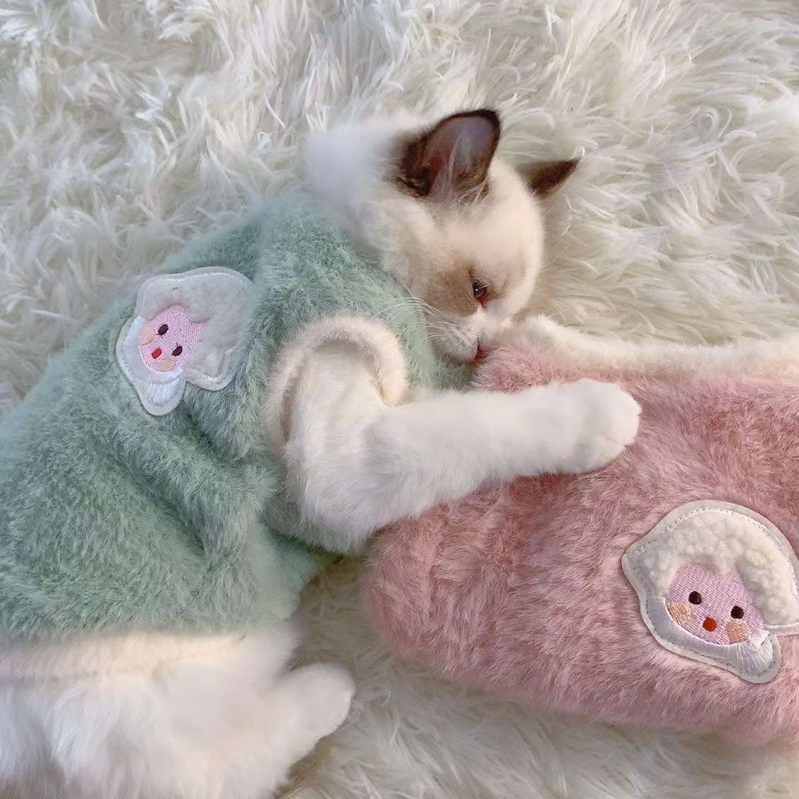 猫 防寒服 | ふわもこ天使の羽ペット服