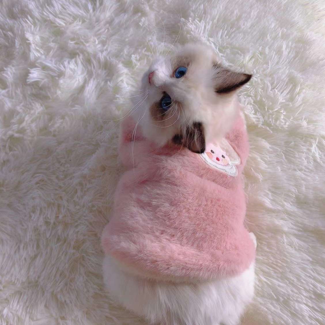 猫 防寒服 | ふわもこ天使の羽ペット服