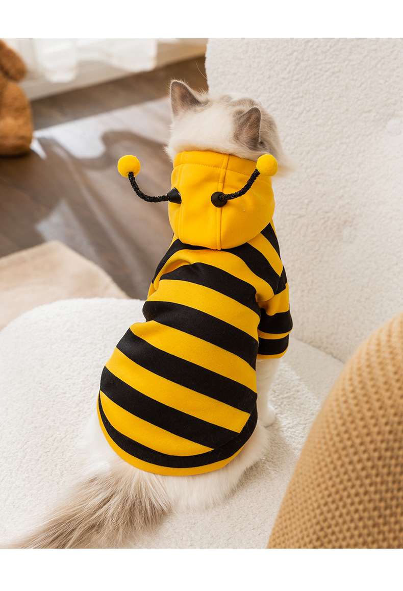 猫 コスプレ | ミツバチ風猫用コスチューム