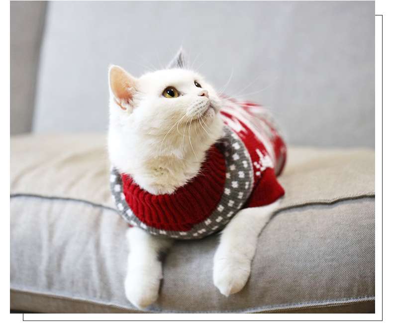 猫 防寒服 | ペット用クリスマスセーター