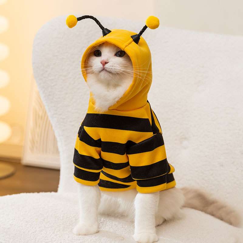 猫 コスプレ | もふもふミツバチ変身パーカー