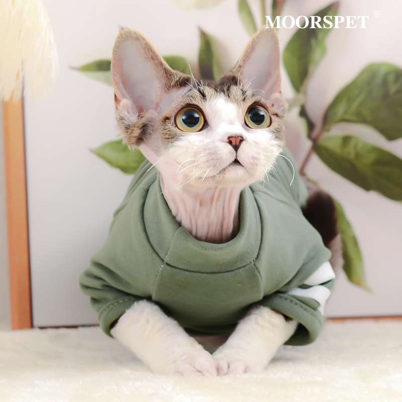 猫 術後服 | 猫用術後服 コンフォートグリーン