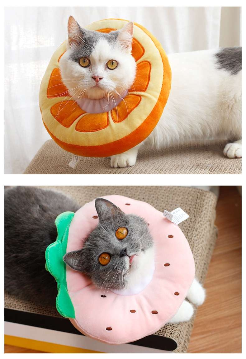 猫 エリザベスカラー | フルーツ猫カラー 癒しのトロピカルコレクション