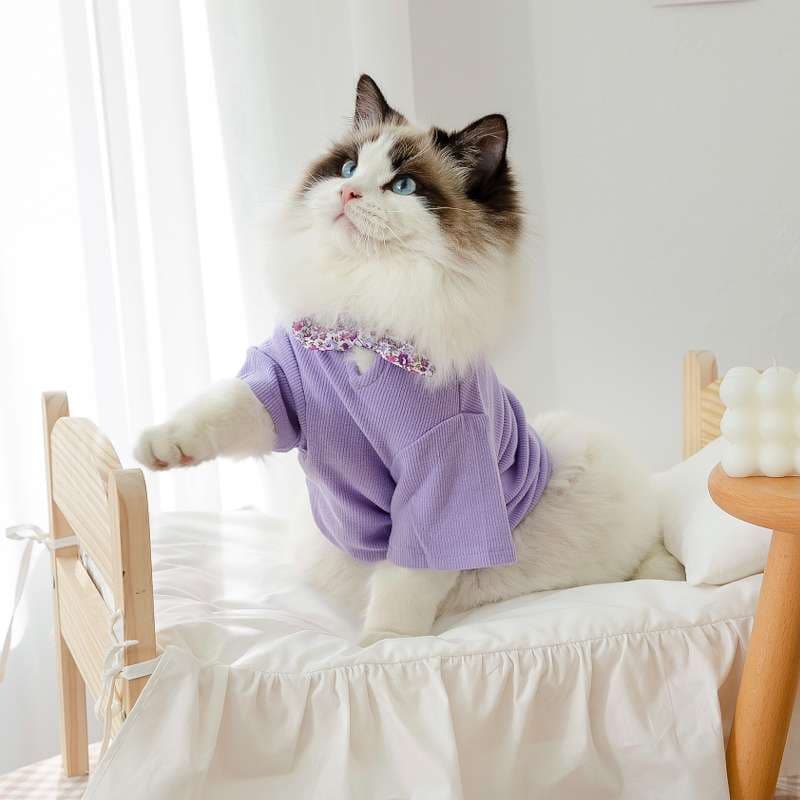 猫 洋服 | ふわもこ猫ちゃんの季節のお洒落トップス