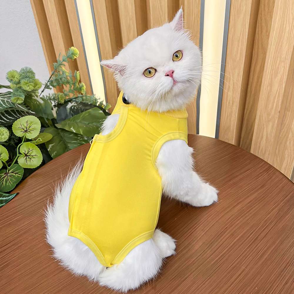 猫 術後服 | 猫用カラフル術後服 快適ケアウェア