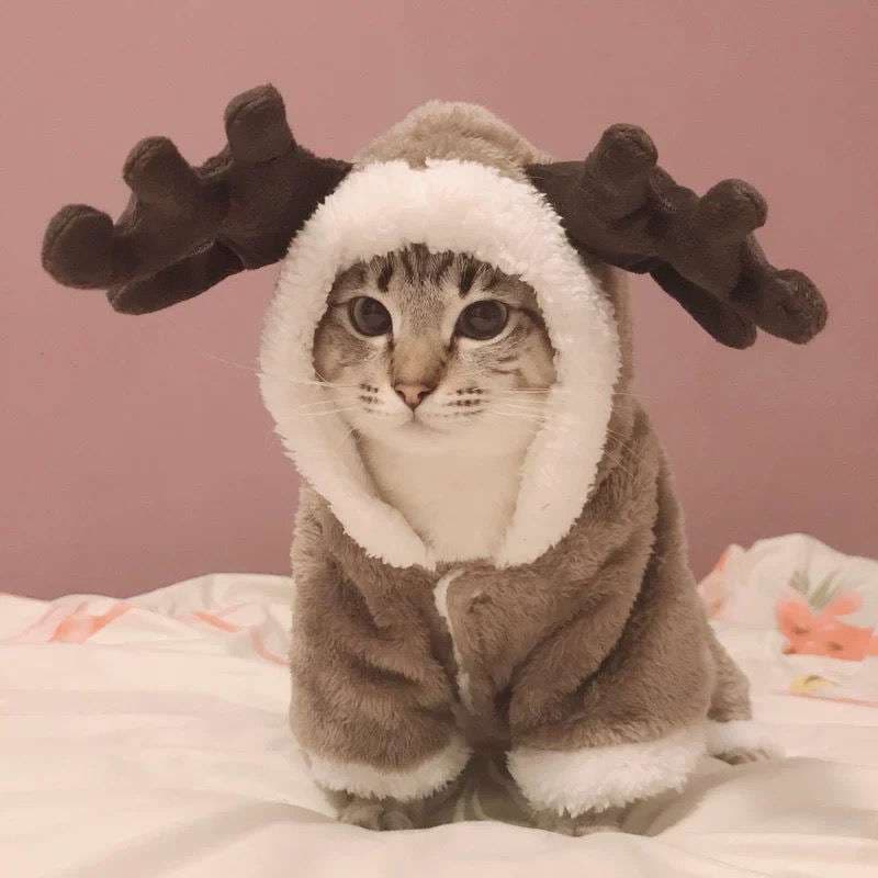 猫 コスプレ | もこもこトナカイ風猫用コスチューム