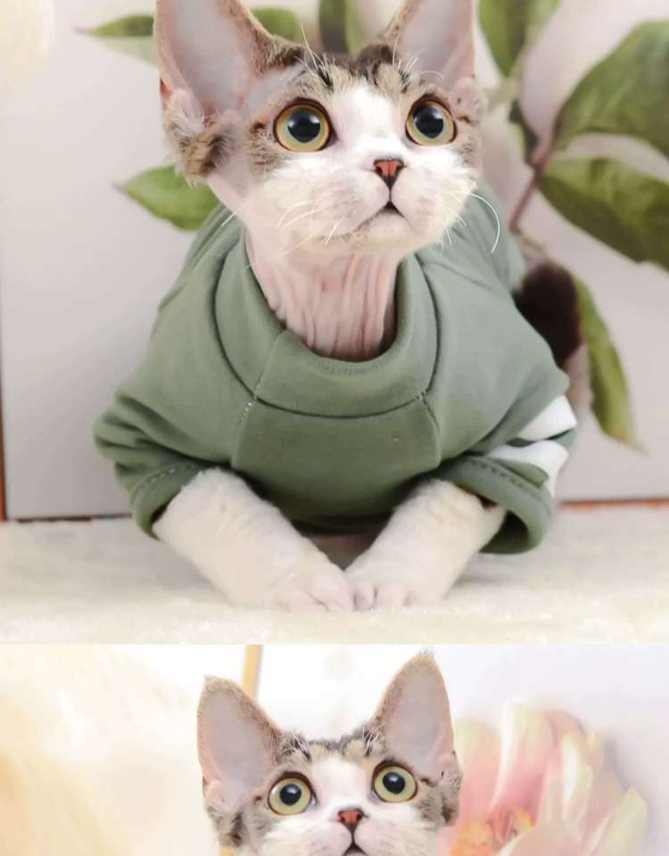 猫 術後服 | 猫用術後服 コンフォートグリーン