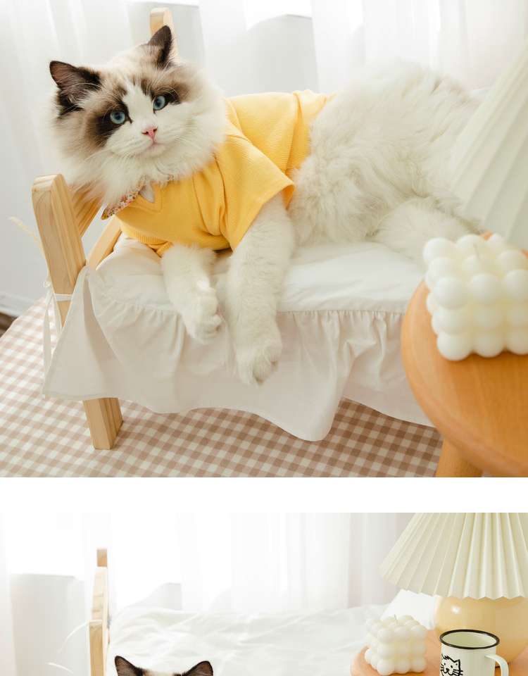 猫 洋服 | ふわもこ猫ちゃんの季節のお洒落トップス