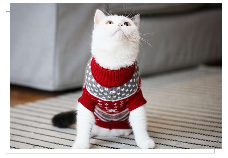 猫 防寒服 | ペット用クリスマスセーター