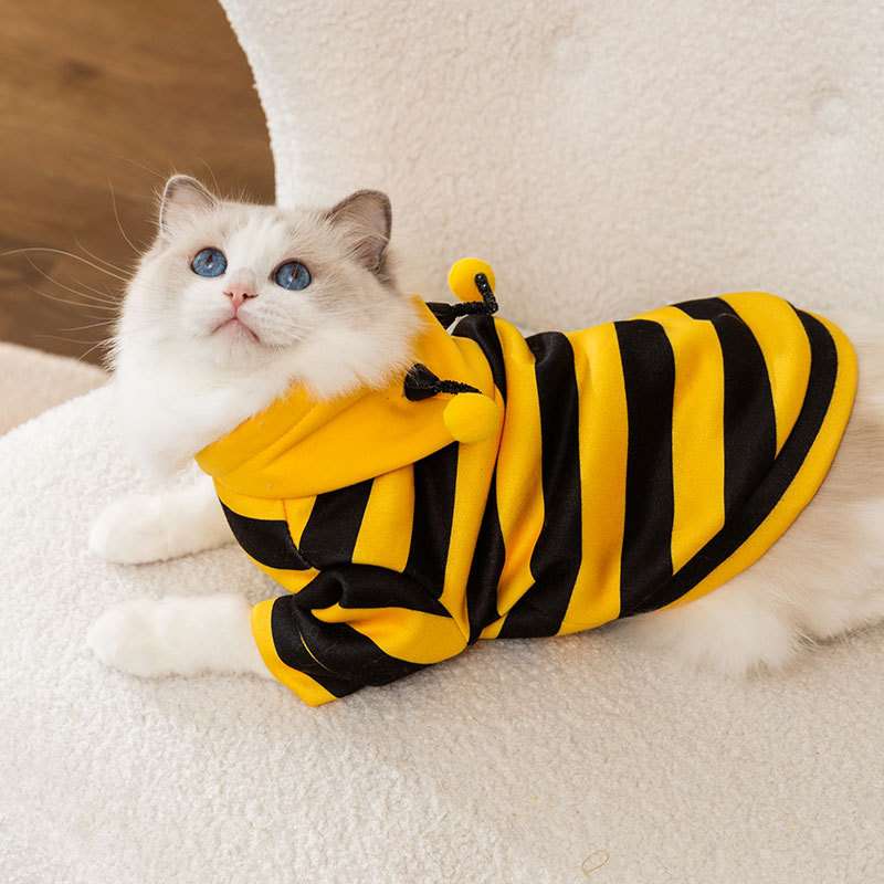 猫 コスプレ | ミツバチ風猫用コスチューム