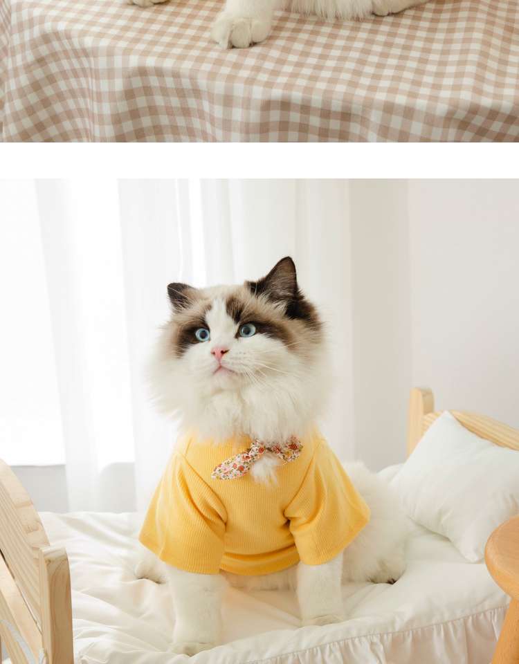 猫 洋服 | ふわもこ猫ちゃんの季節のお洒落トップス