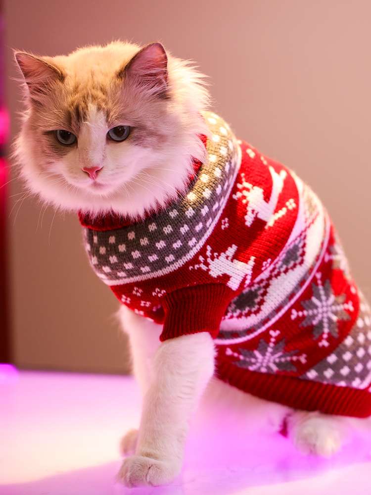 猫 防寒服 | ペット用クリスマスセーター