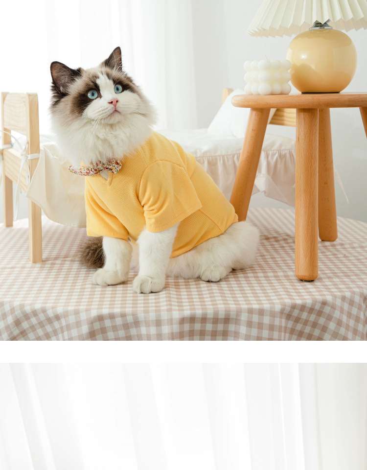 猫 洋服 | ふわもこ猫ちゃんの季節のお洒落トップス