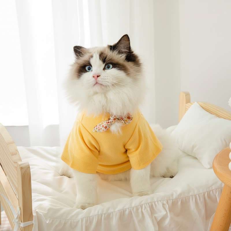 猫 洋服 | ふわもこ猫ちゃんの季節のお洒落トップス