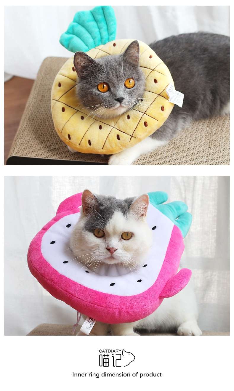 猫 エリザベスカラー | フルーツ猫カラー 癒しのトロピカルコレクション