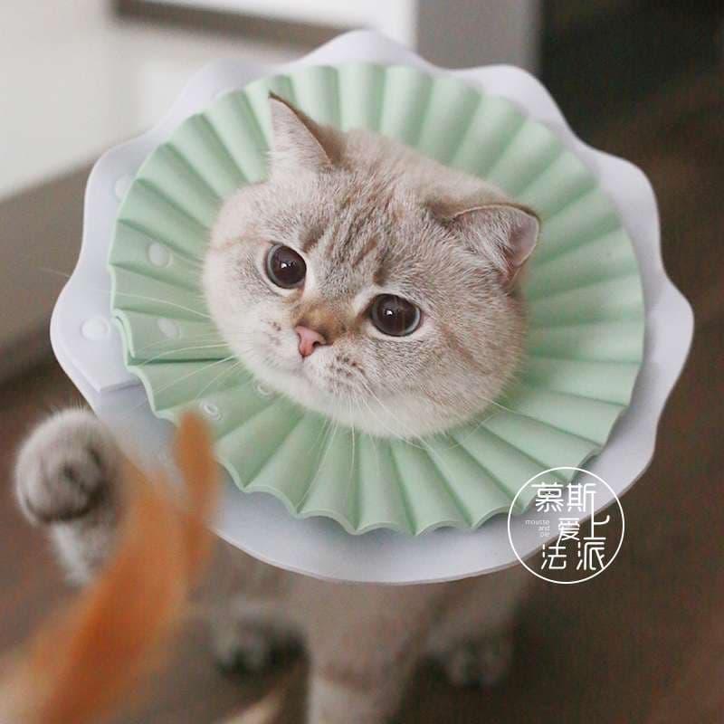猫 エリザベスカラー | ふわふわフリルの猫用エリザベスカラー