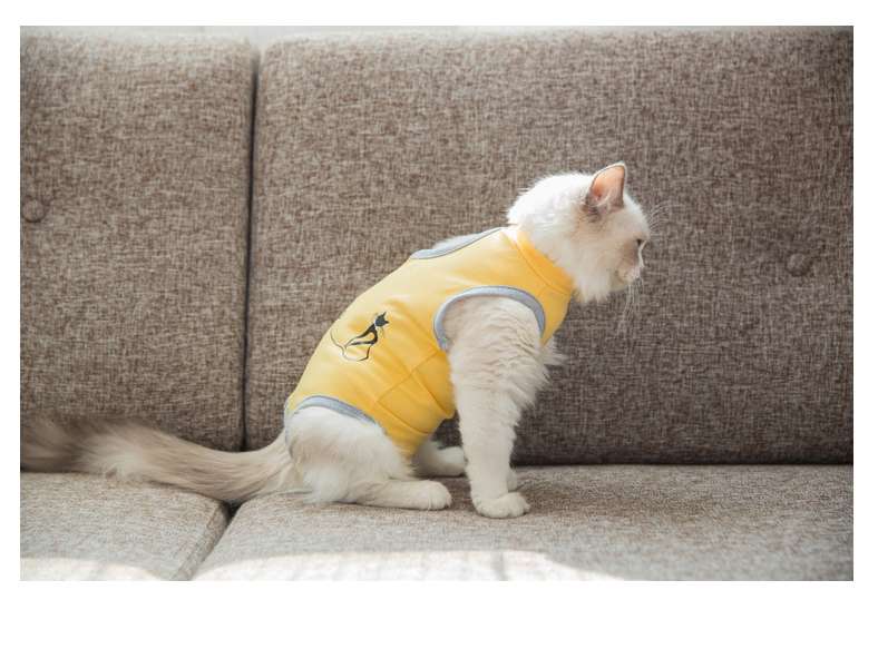 猫 術後服 | 猫用快適リカバリーウェア