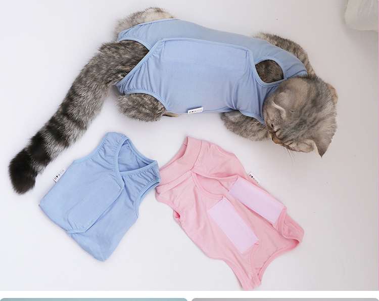 猫 術後服 | ふわもこ猫ちゃん術後ウェア