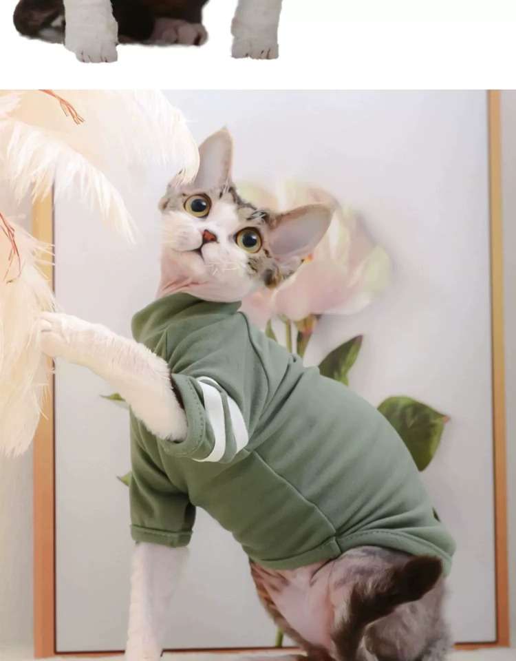 猫 術後服 | 猫用術後服 コンフォートグリーン