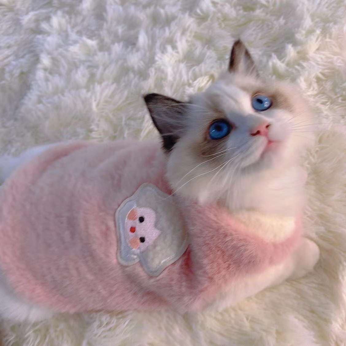 猫 防寒服 | ふわもこ天使の羽ペット服