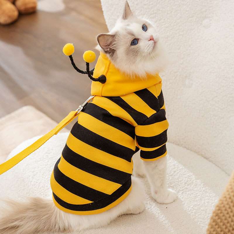猫 コスプレ | ミツバチ風猫用コスチューム