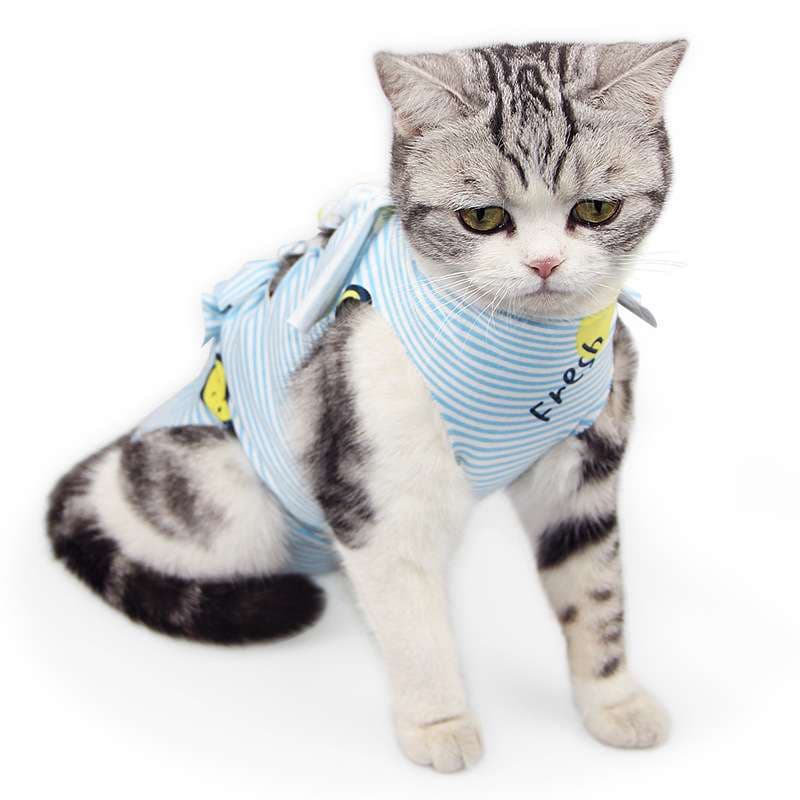 猫 術後服 | 猫用快適リカバリーウェア