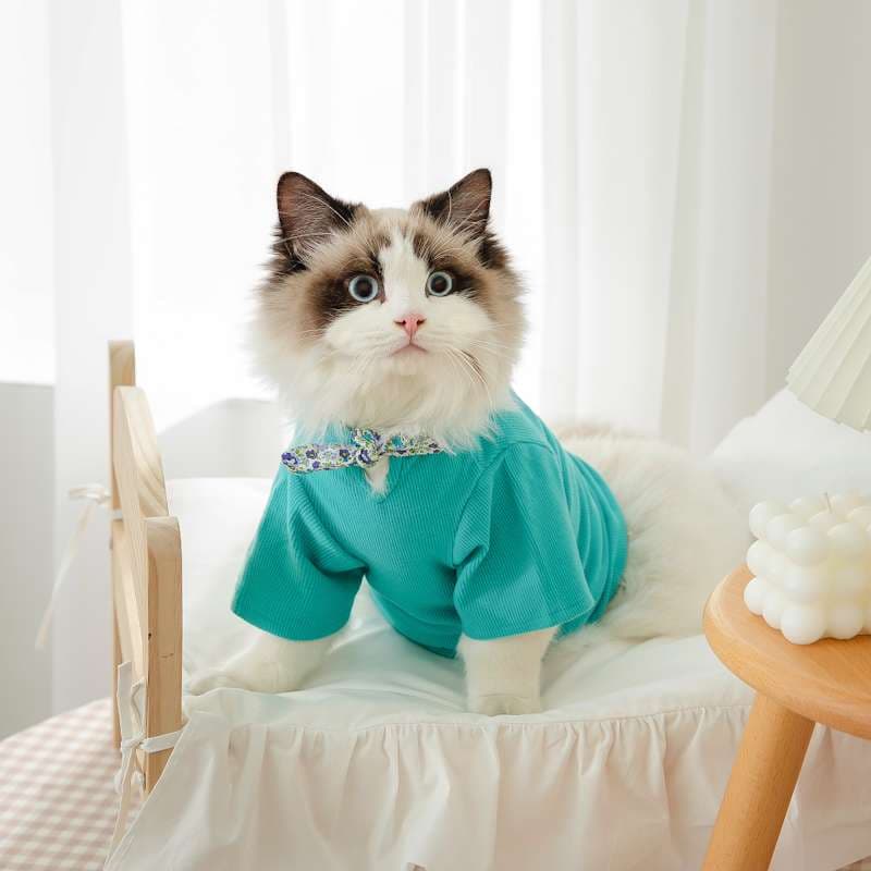 猫 洋服 | ふわもこ猫ちゃんの季節のお洒落トップス