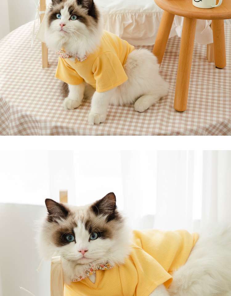猫 洋服 | ふわもこ猫ちゃんの季節のお洒落トップス