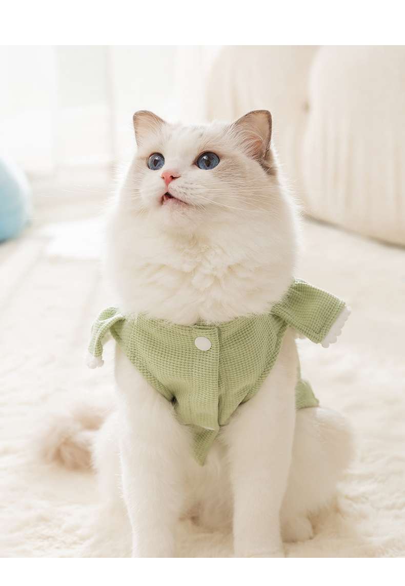 猫 洋服 | 猫用フリル付きライトグリーンワンピース