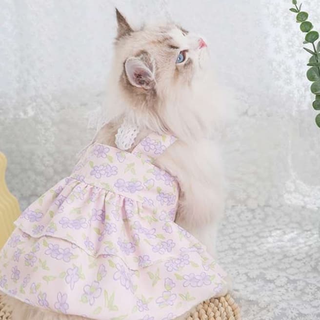 猫 洋服 | ふんわり花柄キャットドレス