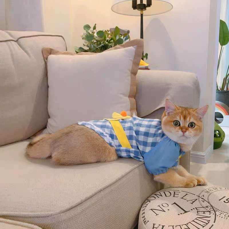 猫 洋服 | 猫用チェック柄オーバーオール