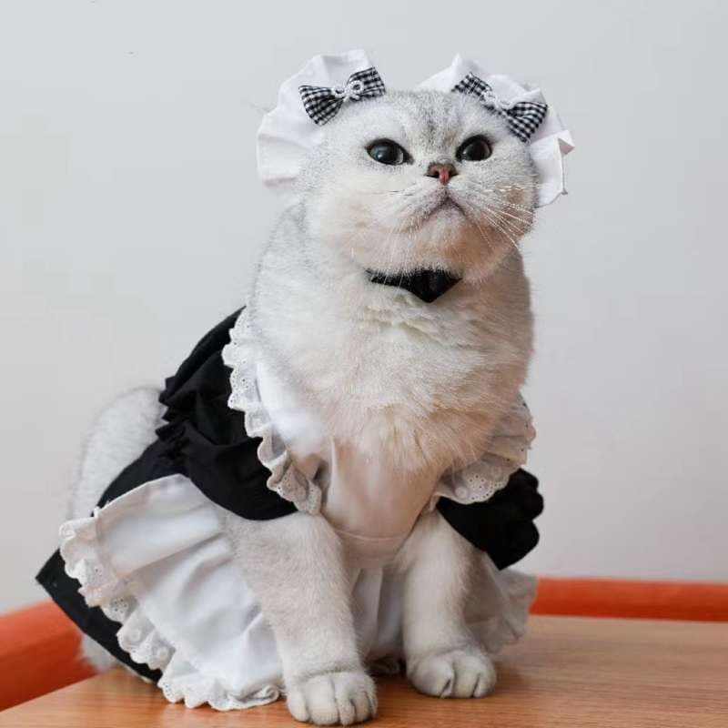 猫 コスプレ | メイド風フリルドレス猫用コスチューム