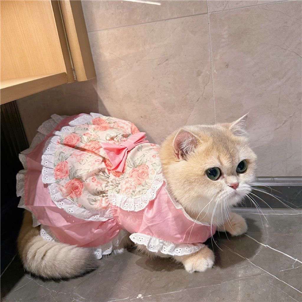 猫 洋服 | ふわふわ姫様風キャットドレス