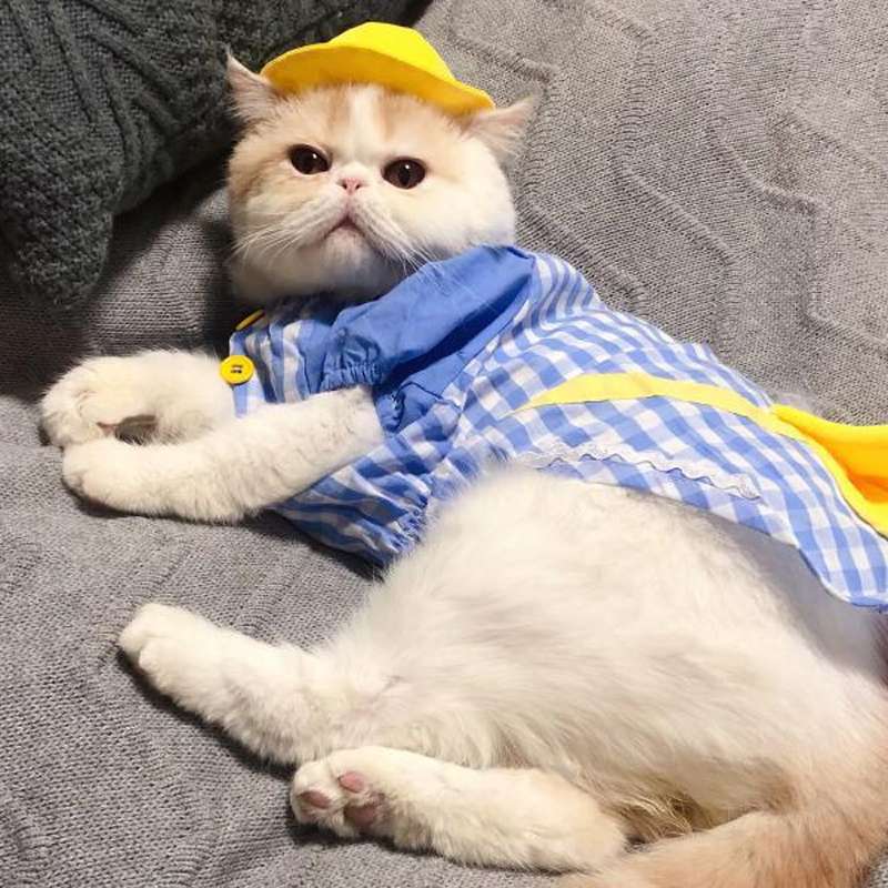 猫 洋服 | 猫用チェック柄オーバーオール