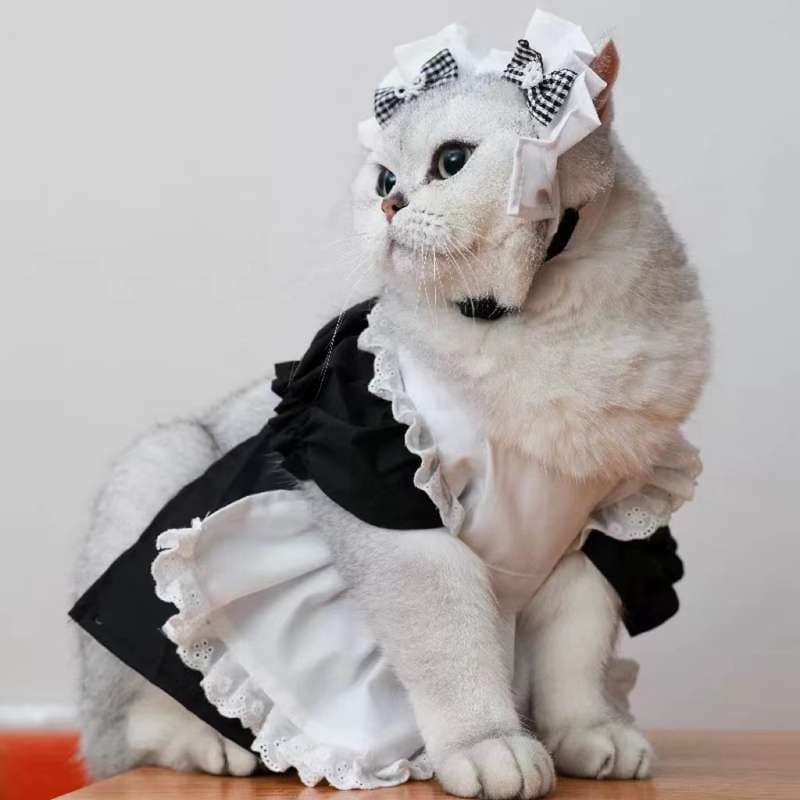 猫 コスプレ | メイド風フリルドレス猫用コスチューム