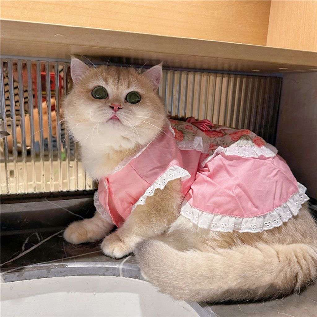 猫 洋服 | ふわふわ姫様風キャットドレス