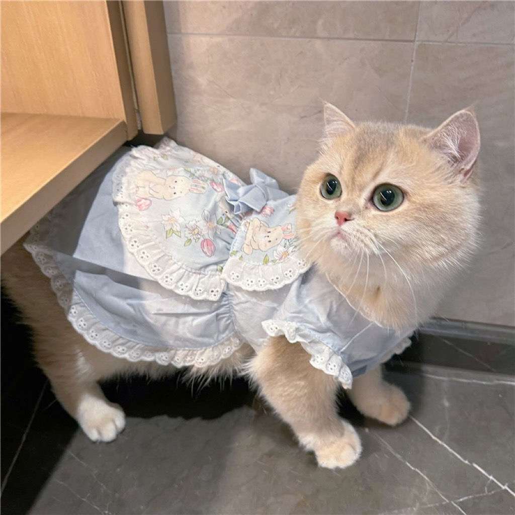 猫 洋服 | ふわふわ姫様風キャットドレス