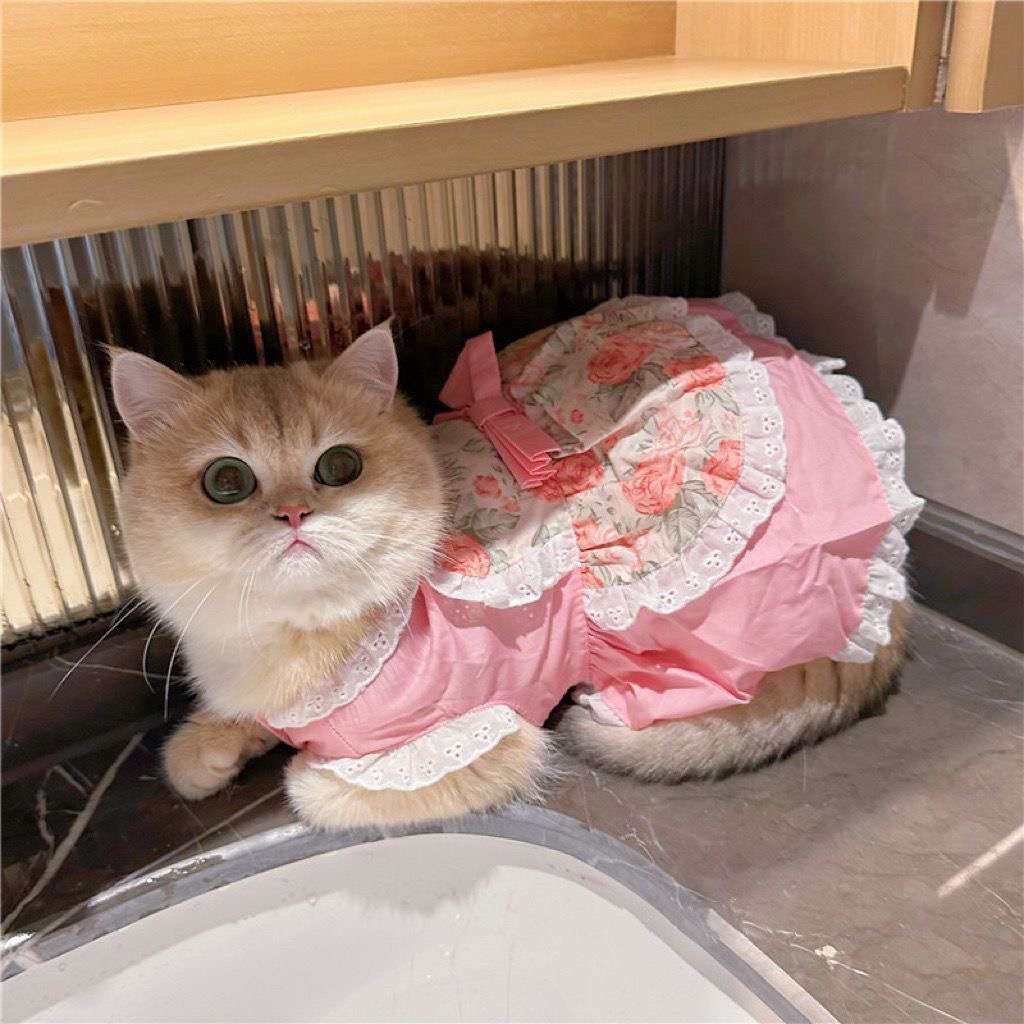 猫 洋服 | ふわふわ姫様風キャットドレス