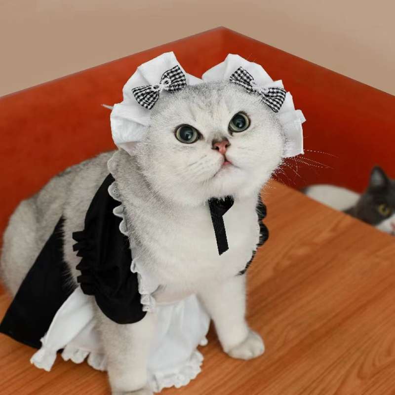 猫 コスプレ | メイド風フリルドレス猫用コスチューム