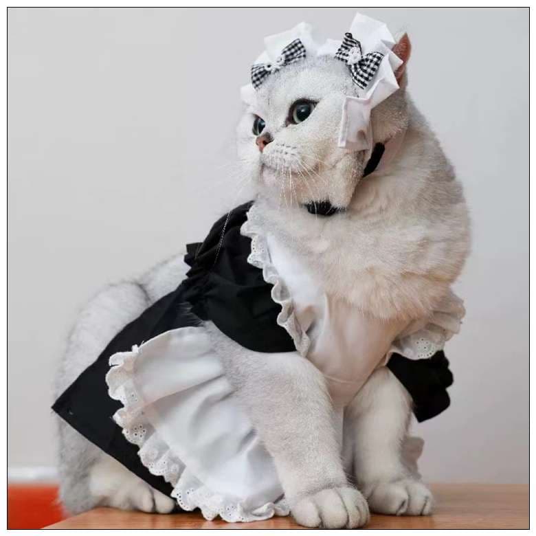 猫 コスプレ | メイド風フリルドレス猫用コスチューム